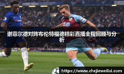 星空·综合体育官方网站