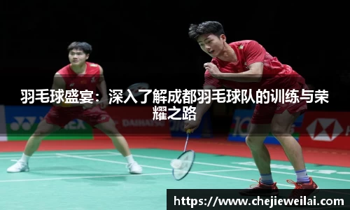 羽毛球盛宴：深入了解成都羽毛球队的训练与荣耀之路